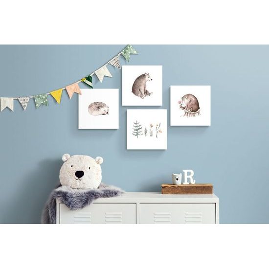 Set obrazů zvířátka z lesa