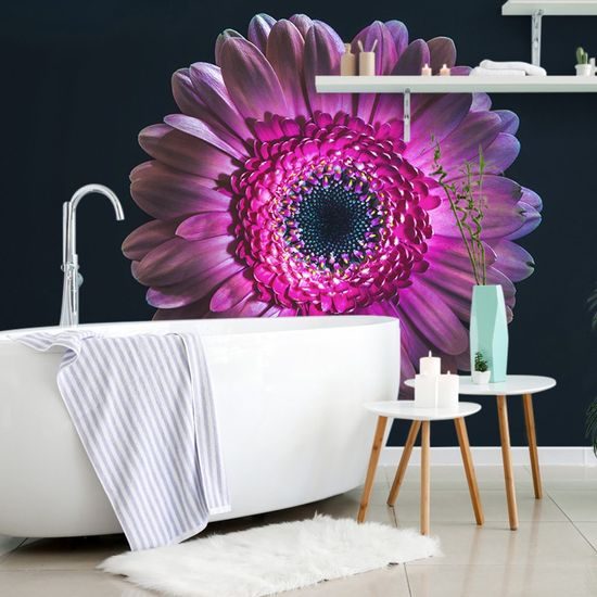 Originální samolepící tapeta gerbera na tmavém pozadí