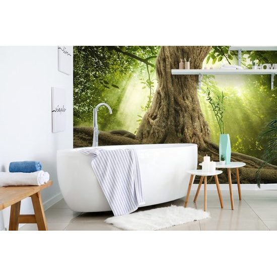 Samolepící tapeta mohutné kořeny stromu