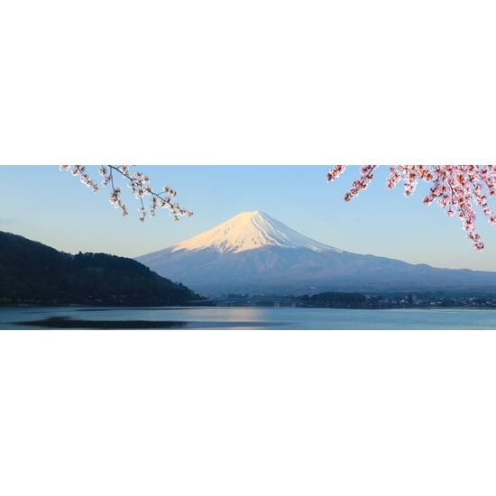 Obraz výhled na krásnou horu Fuji
