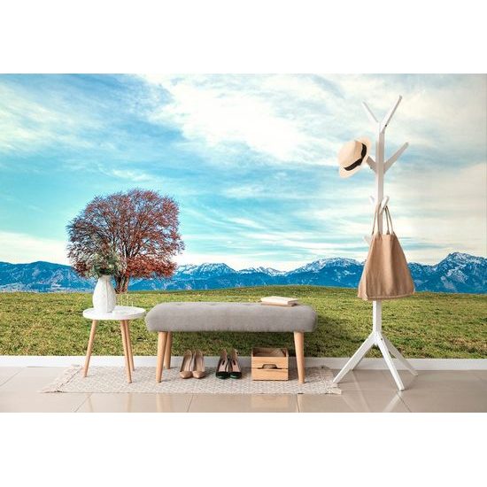 Fototapeta strom s panoramatem pohoří