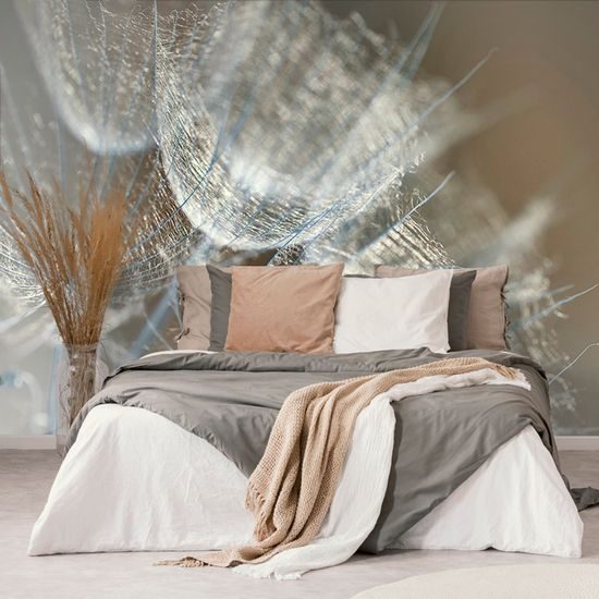 Samolepící tapeta makro záběr pampelišky