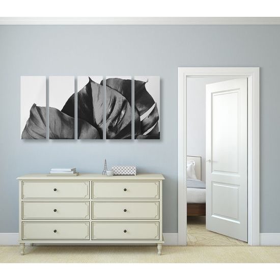 5-dílný obraz listy monstery v černobílém provedení