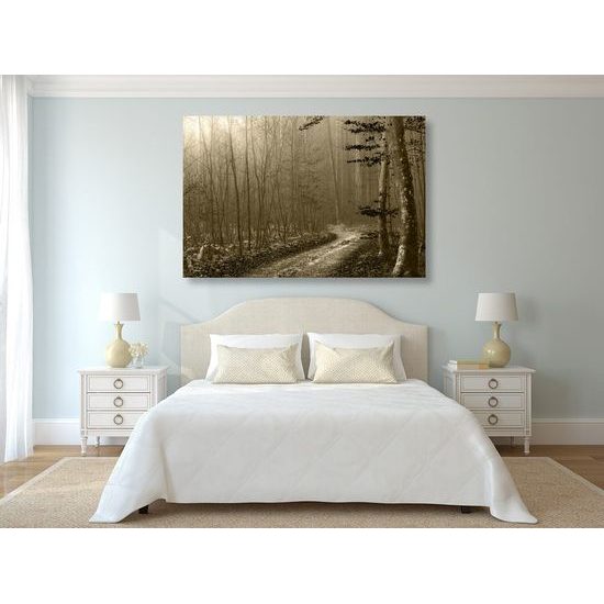 Obraz lesní cesta v sépiovém provedení