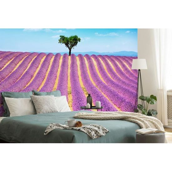 Originální samolepící fototapeta levandulové pole se stromem