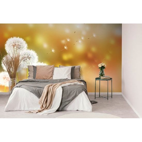 Samolepící tapeta nadýchané kloboučky pampelišky