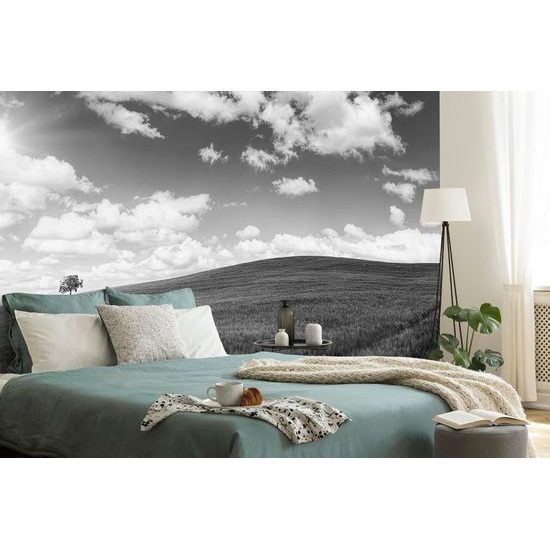 Samolepící fototapeta nádherná černobílá louka