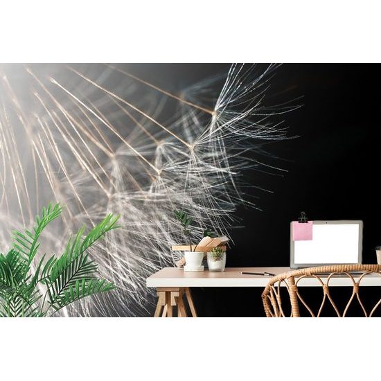 Tapeta detail semínek pampelišky