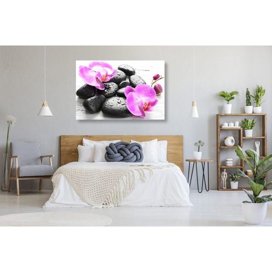 Obraz harmonie orchideje a kamenů