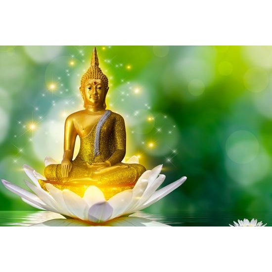 Obraz harmonický Buddha