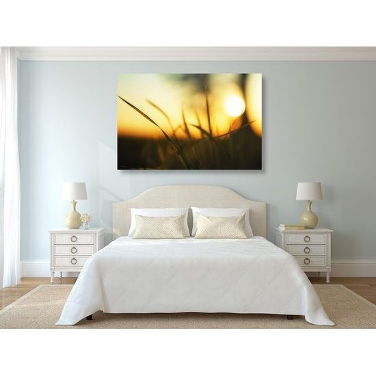 Obraz letní západ slunce