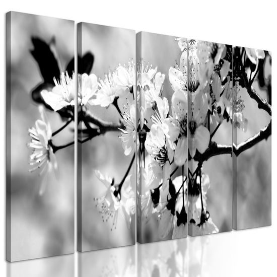 5-dílný obraz krásný květ v černobílém provedení