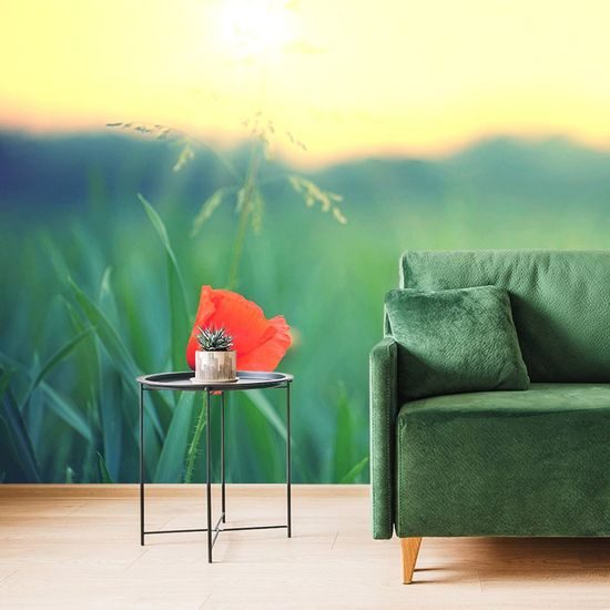 Samolepící fototapeta nenápadný květ vlčího máku v trávě