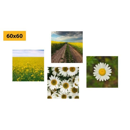 Set obrazů něžné semokrásky