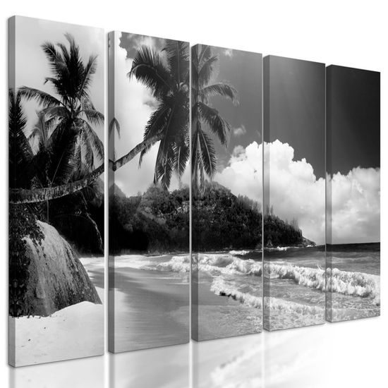 5-dílný obraz nádherné Seychely v černobílém provedení