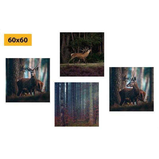 Set obrazů vysoká zvěř