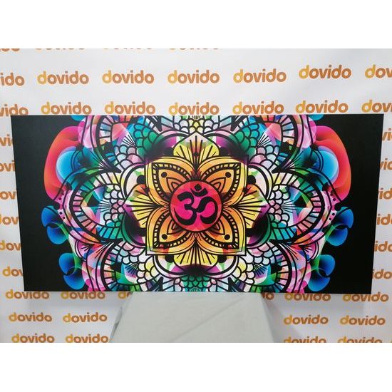 Obraz pestrobarevná Mandala zdraví