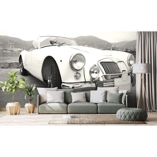 Samolepící fototapeta černobílý vzácný veterán