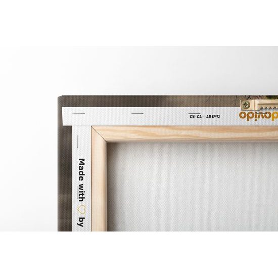 Obraz dva pohledy na strom