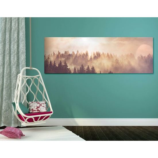 Obraz ranní paprsky slunce nad lesem