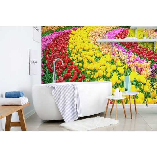Samolepící tapeta barevný tulipánový záhon