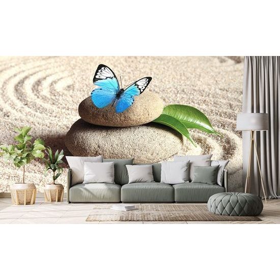 Fototapeta krásný motýl v zen zahradě