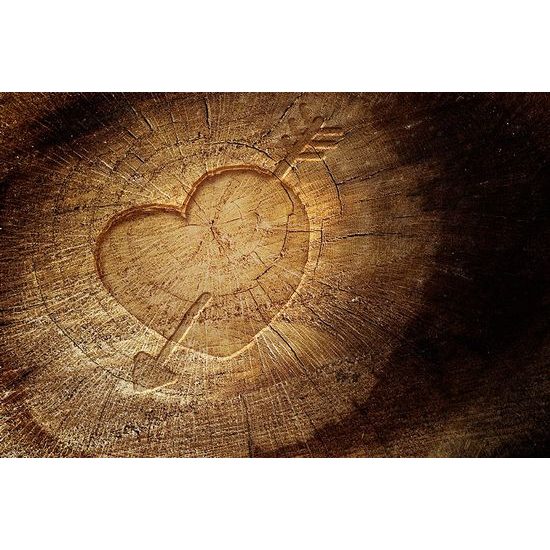 Fototapeta srdce se šípem na pařezu