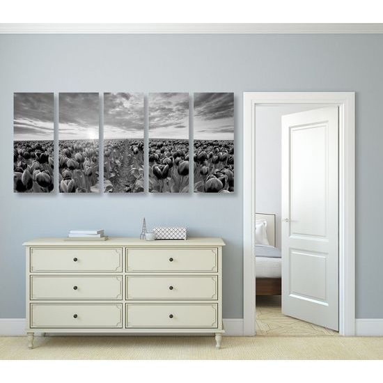 5-dílný obraz západ slunce nad rozkvinutými tulipány v černobílém provedení