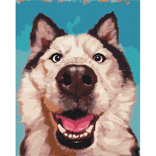 Malování podle čísel portrét psa