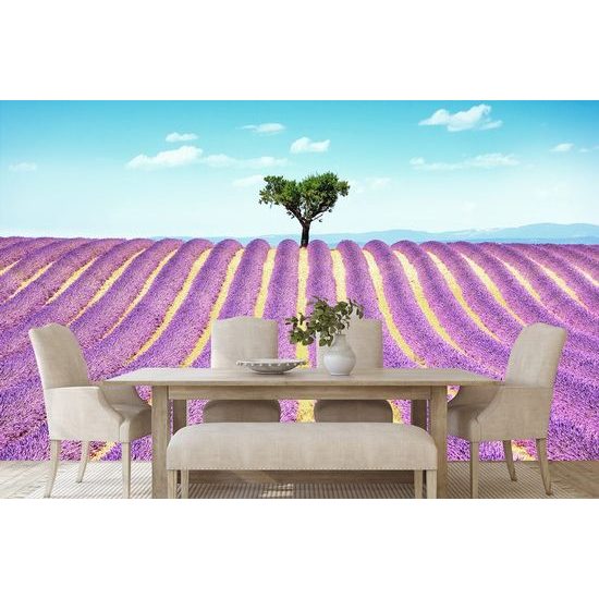 Originální samolepící fototapeta levandulové pole se stromem