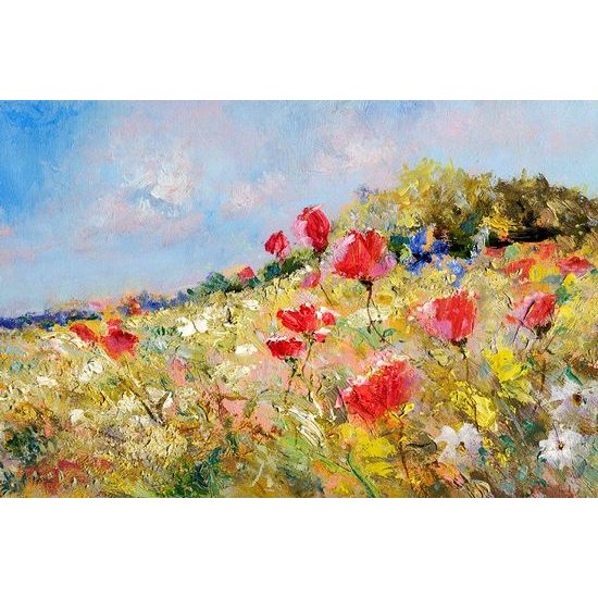 Tapeta divoké máky na louce