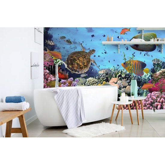 Fototapeta svět pod mořskou hladinou