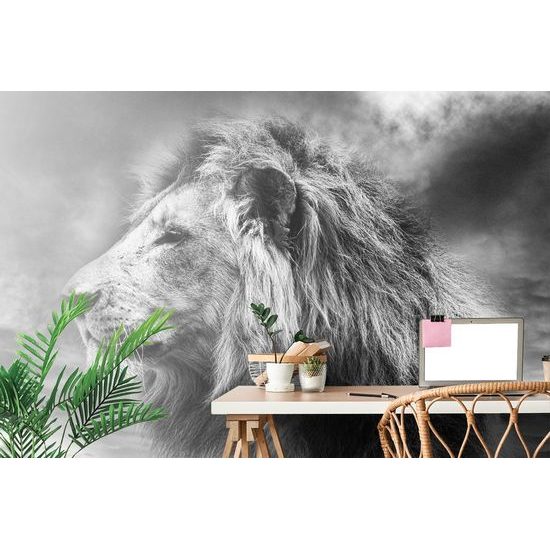 Samolepící fototapeta černobílá hlava lva