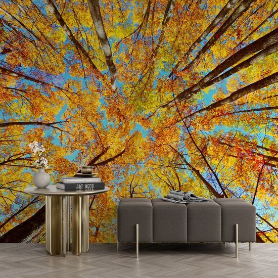 Fototapeta koruny stromů v podzimních barvách