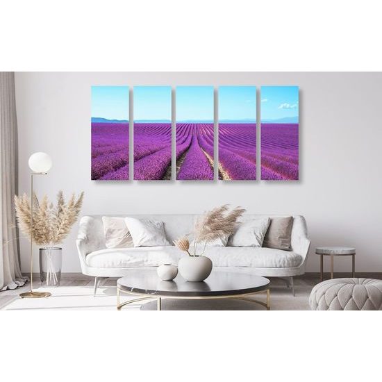 5-dílný obraz nádherná levadulová pole