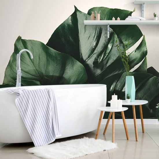 Fototapeta lesklé listy monstery