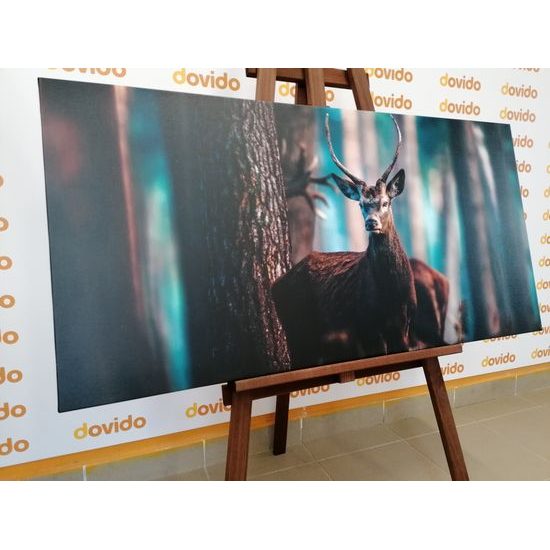 Obraz setkání s jelenem