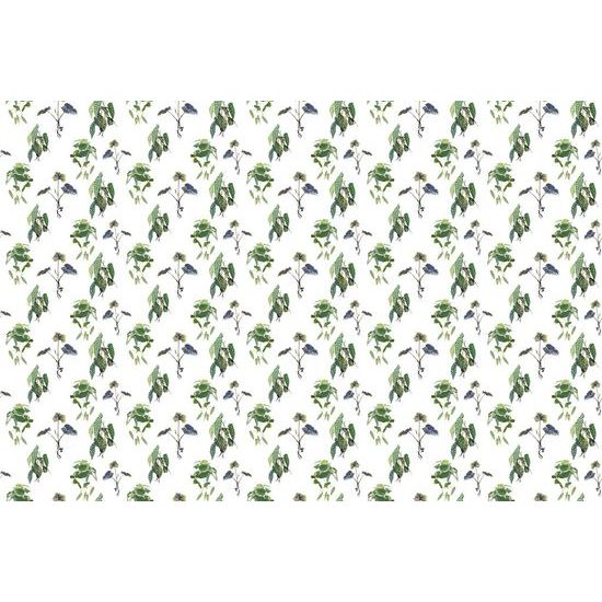 Samolepící tapeta půvabné tropické rostliny