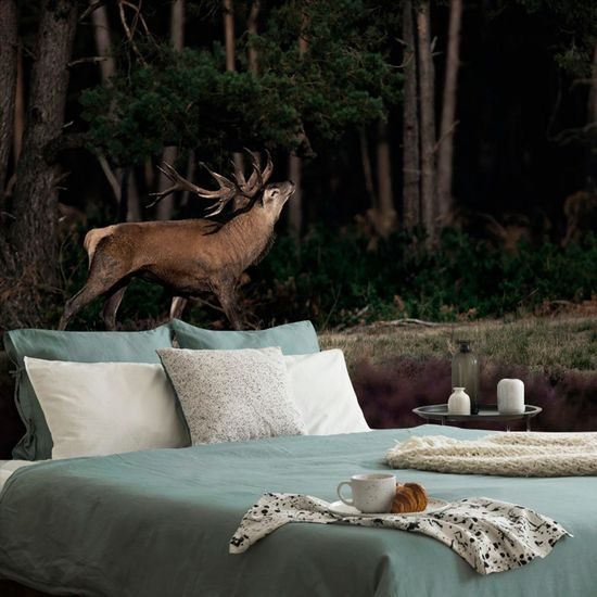 Samolepící fototapeta ručící jelen