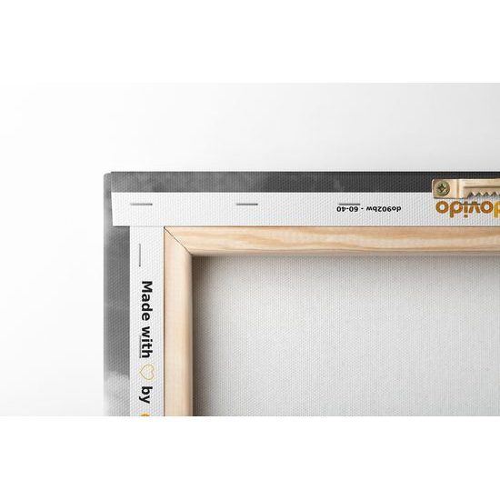 Obraz Elizabeth Tower v Londýně v černobílém provedení