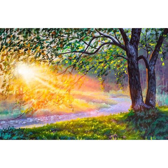 Tapeta probouzející se ranní les