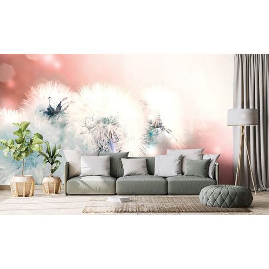 Okouzlující samolepící tapeta sklenici s pampeliškami