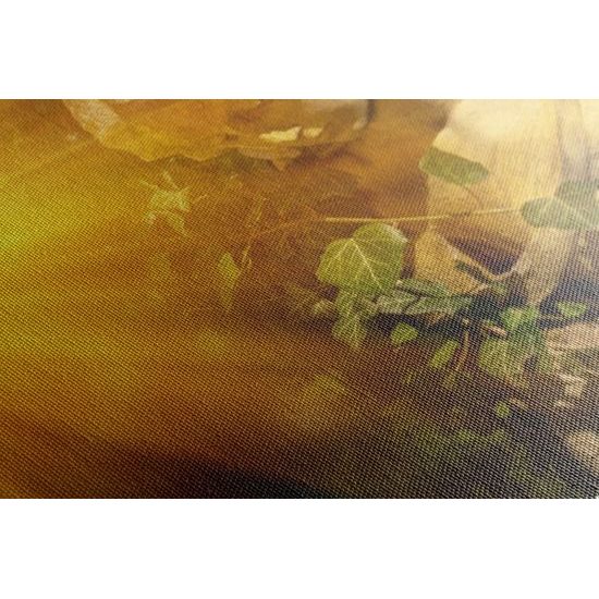 Obraz anděl s nebeskými paprsky