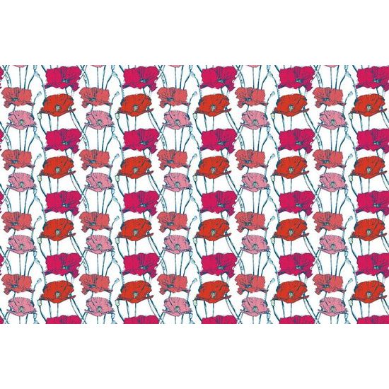 Tapeta máky v rozkvětu