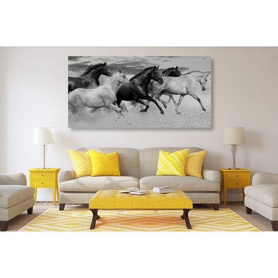 Obraz cválající koně v černobílém provedení