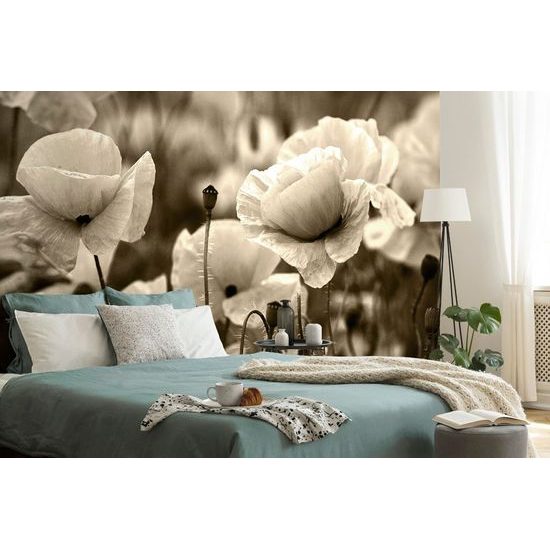 Nádherná sépiová fototapeta v objetí vlčích máků