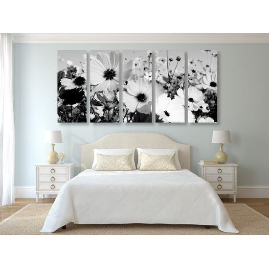 5-dílný obraz rozkvetlá louka v černobílém provedení