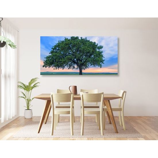 Obraz modrá obloha při západu slunce