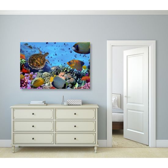 Obraz svět pod mořskou hladinou