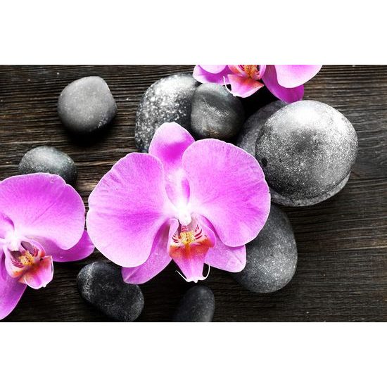 Samolepící fototapeta orchidej na zen kamenech